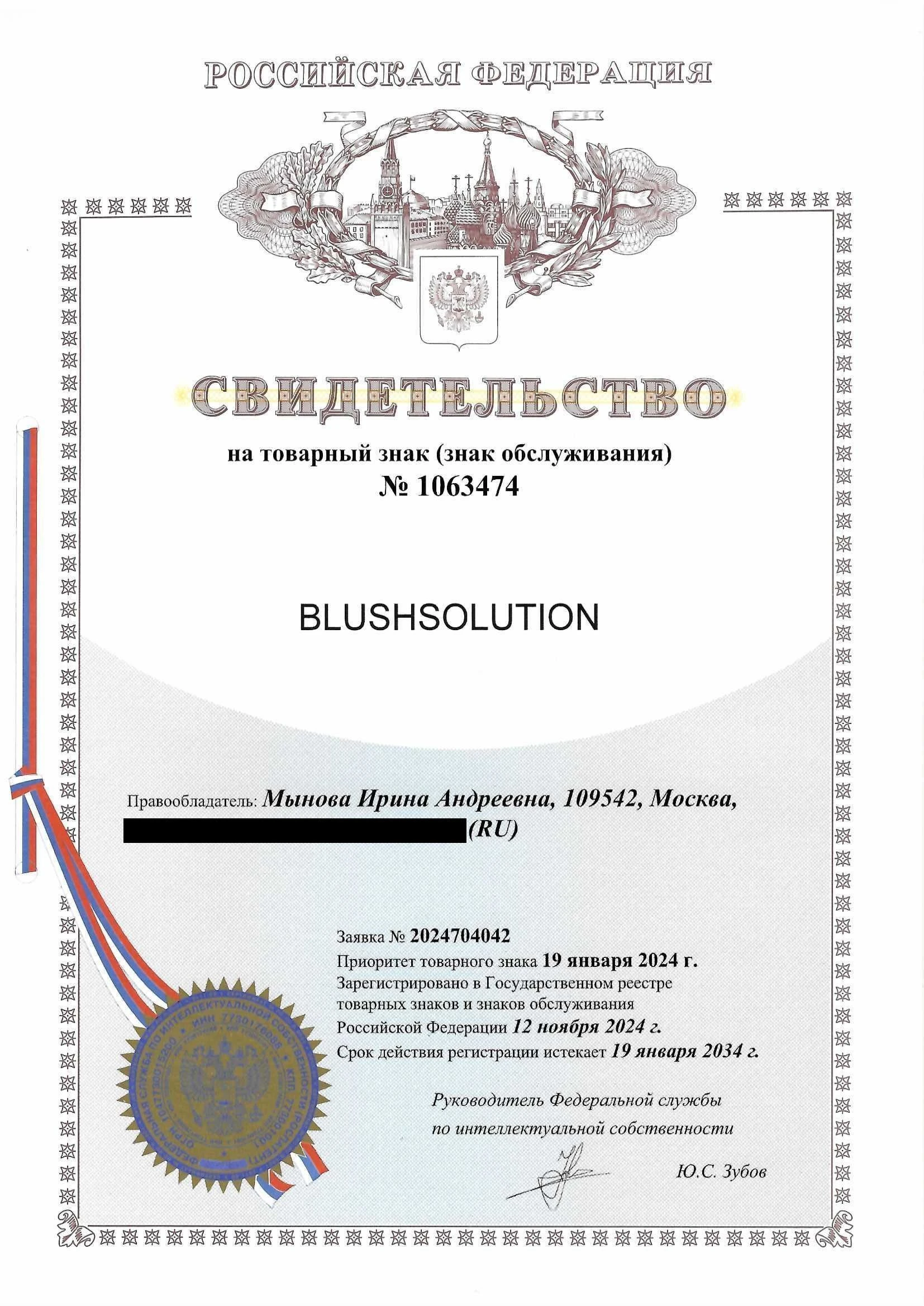 Товарный знак № 1063474 – BLUSHSOLUTION